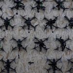 WhatsApp Image 2025-12-30 at 7.13.10 PM