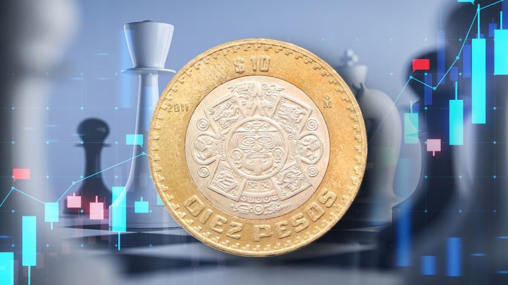 WhatsApp Image 2025-12-31 at 2.46.04 PM