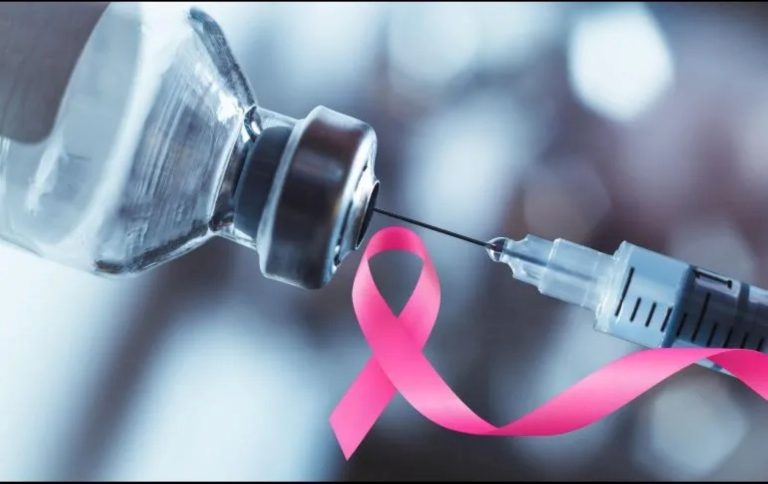 WhatsApp Image 2025-12-31 at 3.52.05 PM