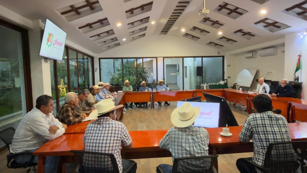 WhatsApp Image 2026-01-04 at 12.36.54 PM