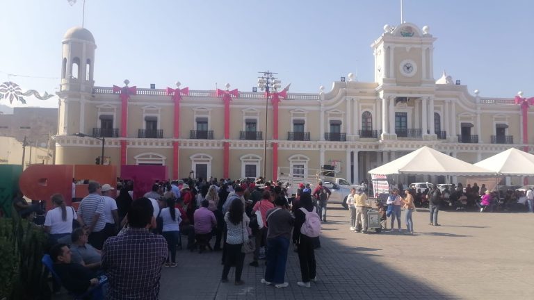 WhatsApp Image 2026-01-06 at 11.42.53 AM (1)