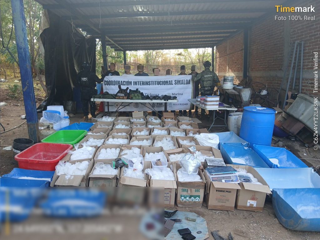 WhatsApp Image 2026-01-08 at 12.09.16 PM