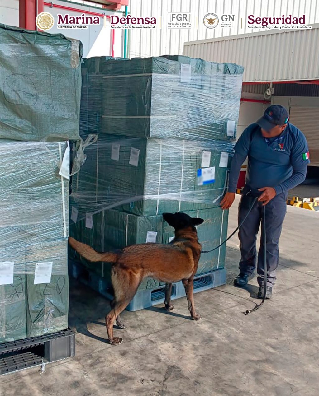 WhatsApp Image 2026-01-09 at 10.38.55 AM