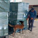 WhatsApp Image 2026-01-09 at 10.38.55 AM