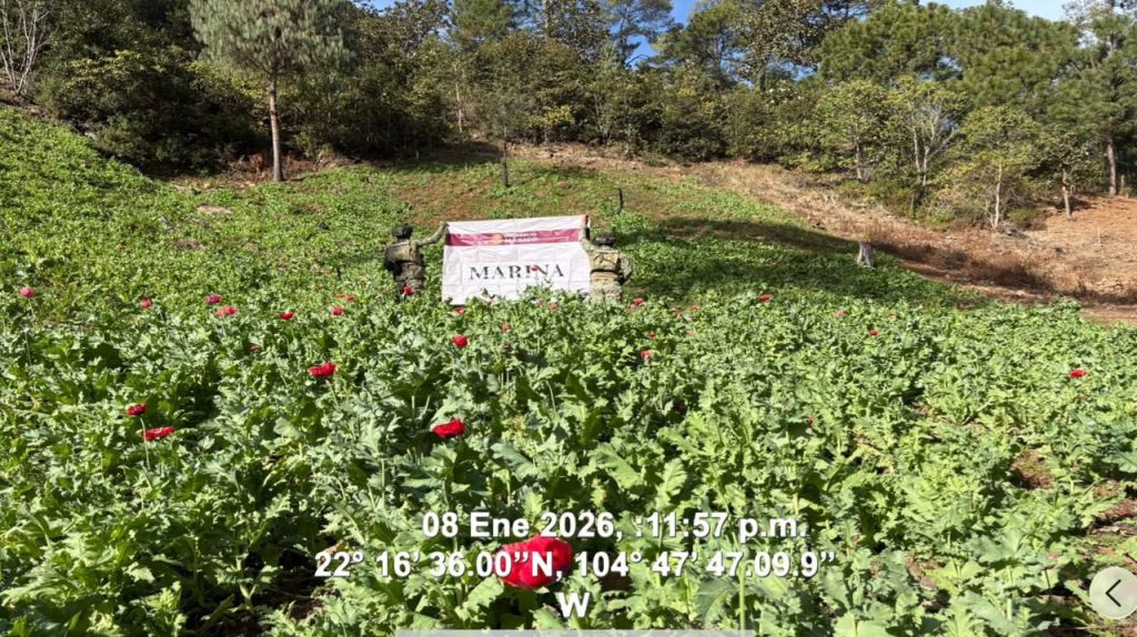 WhatsApp Image 2026-01-11 at 2.55.15 PM (1)