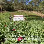 WhatsApp Image 2026-01-11 at 2.55.15 PM (1)