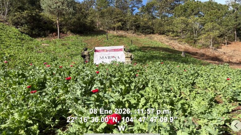 WhatsApp Image 2026-01-11 at 2.55.15 PM (1)